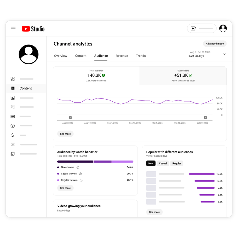 YouTube Audience Segments